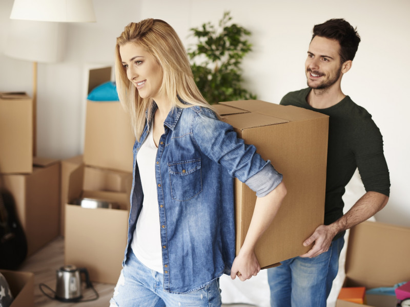 Költöztetés Sülysáp